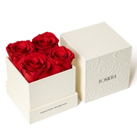 Rosaura 4-Piece Eternal Preserved Roses & Flowers Gift Box - Forever Lasting Real Roses, Preserved Flowers for Valentine's Day Red