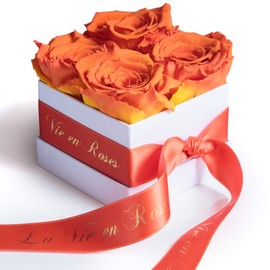 ROSEMARIE SCHULZ Heidelberg Preserved Rose Flowers Shelf Life 3 Years in White Rose Box with Satin Ribbon in Orange and Gold Lettering "La Vie en Roses" (Orange)
