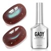 Brown Cat Eye Gel Nail Polish, 4629 Amber Blue, 16ml