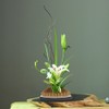 Arc shaped Flower Kenzan Holder Flower Arrangement Needle Pin Arranging