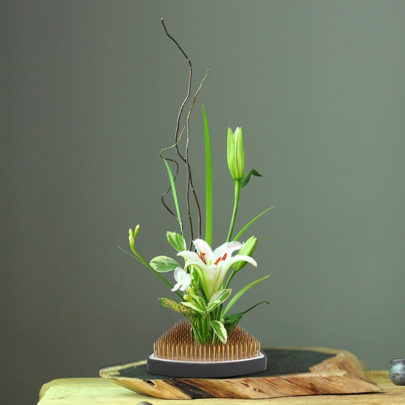 Arc shaped Flower Kenzan Holder Flower Arrangement Needle Pin Arranging
