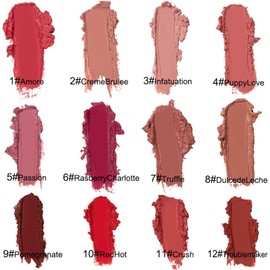Brillo de Labios en Crema 12 Colores (12 pcs) Lapiz Labial Terciopelo Hidratante, Resistente al Agua, Antiadherente y de Larga Duración