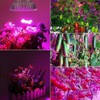 Indoor Garden 50W 64LED Remote Control Full Spectrum Plant Grow