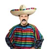 Bristol Novelty AC560 Mexican Poncho Adult Costume, One Size