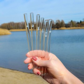 HALM Baltic Sea Motif Edition | 6 Pieces Straight 23 cm with Engraving | Holiday Sea Beach Lighthouse Shell Mini Decorative Gift | Reusable Glass Drinking Straws Engraved - Glass Straws