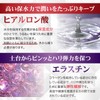 Shimanoya (with attention to taste) Ryukyu Softshell Turtle Collagen Jelly