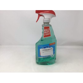 Windex Multi-Surface Cleaner and Disinfectant Spray Bottle