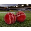 Cricket Leather Ball (set of 2) 50 Over Cricket Ball
