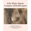 Mastina Mastic Ampoule (Dropper Type, 0.5fl oz) - Face Serum