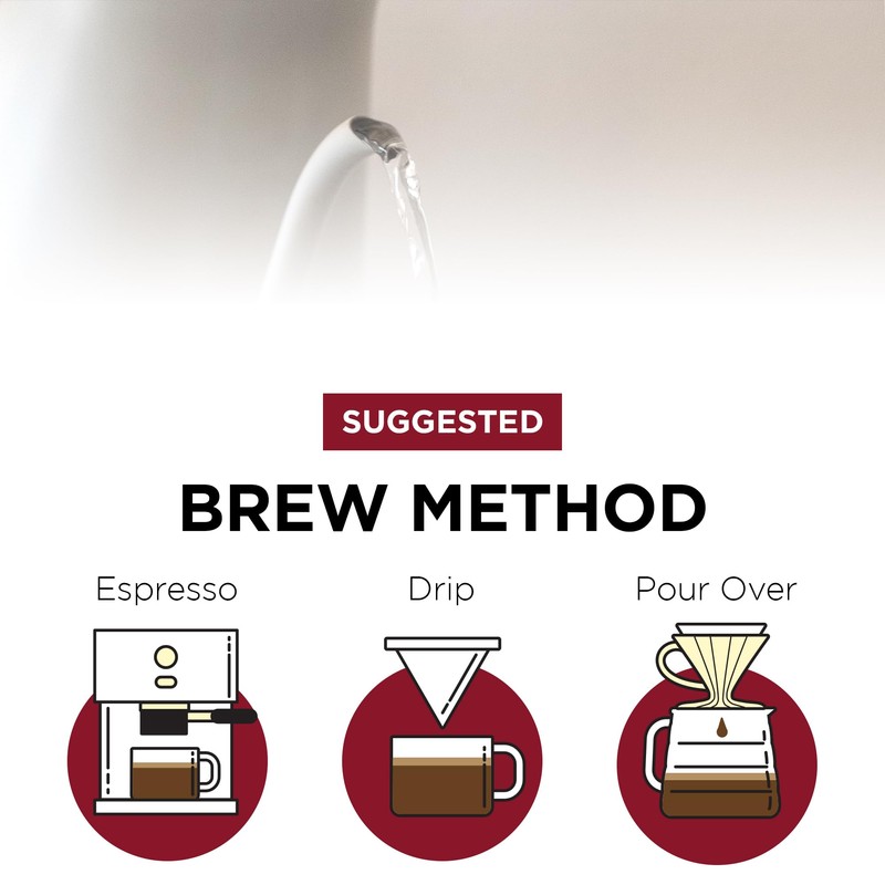 Fonte Coffee Roaster - Home Espresso - Medium-Dark Fresh Roast