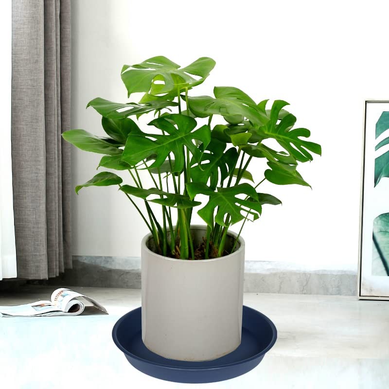 Bleuhome 2 Pack of Bird Bath Bowl 12", 1.6" Depth,