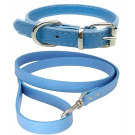 Vibrant Leather Dog Collar & Lead Combo Set for Puppy, Dogs Small, Medium & Large (X-Small (20cm - 26cm Neck), Sky Blue)