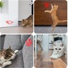 Mumoo Bear 7-in-1 Cat Pointer Toy, Dog Laser Pointer, Cat