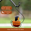 Backyard Essentials Ornate Bird Feeder, Orange Bubble Glass Hanging Jelly