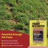 Giant Destroyer Smoke Bomb Gasser – Rodent & for Gophers,