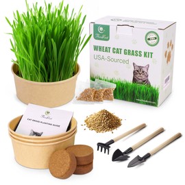 Indoor Cat Grass Growing Kit | High Germination Non-GMO Wheatgrass Seeds | Soil, Tools | Natural Hairball Control | Gift for Cat Owners