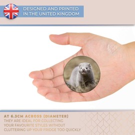 Destination Vinyl ltd Magnet for Refrigerator, Fridge - Cute Young Mink Baby Arctic for Office, Cabinet and Whiteboard, Magnetic Stickers, 16307