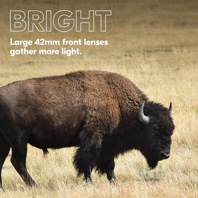 Nikon PROSTAFF P3 8x42 Binocular | Waterproof, fogproof, rubber-armored Full-Size