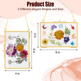 Thyle 12 Pcs Brass Glass Hanging Frame Pressed Flowers Glass 4 x 6 Inch Hanging Display Clear Picture Frame with Chain for DIY Photo Artwork Gallery Wall Decor(Gold)
