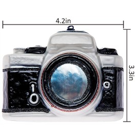 2 Pack Hand Blown Glass Camera Ornament, Hand Painted Glass Camera Ornaments for Christmas Tree, Classic Glass Camera Christmas Ornament for Photographer
