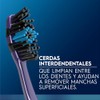 Oral Cepillo Dientes Acciones Cerdas Suaves Carbón Unidades