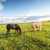 60'' Fiberglass Electric Fence Posts with Double Spikes for Animals,