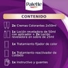 Palette Tinte para cabello Color Creme 9 1 Rubio Extra
