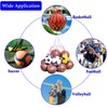 laeeyin Ball Net for 10 Balls, Ball Bag, Ball Bags