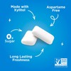 PUR-Gum Aspartame Free Bubblegum - Figura decorativa