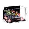 Better Display Cases Versatile Acrylic Display Case - Small Rectangle