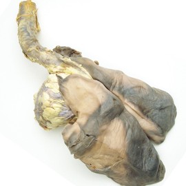 Anatomy Lab Sheep Pluck Preserved Specimen for Dissection, for Biology Classrooms, Education, and Medical Study