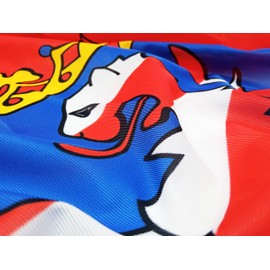 FLAGLY Premium Flag of Hesse 100 x 150 cm -115 g/m² Fabric Weight - Printed, Robust and Weather-Resistant Gloss Polyester with Eyelets (100 x 150 cm, Hesse)