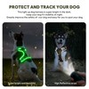 Light Up Dog Harness No Pull LED Harness, Escape Proof