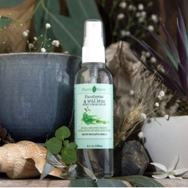 Eucalyptus & Wild Mint Room and Linen Spray, Natural Aromatic Mist Made with Pure Eucalyptus & Wild Mint Essential Oils, Refreshing Air Freshener Odor Eliminator Positive Essence