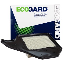 EcoGard XA6165 Premium Engine Air Filter Fits Dodge Grand Caravan 3.6L 2011-2019 | Chrysler Town & Country 3.6L 2011-2016 | Ram C/V 3.6L 2012-2015 | Volkswagen Routan 3.6L 2011-2014