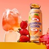 Wildwonder wildwonder Sparkling Probiotic Juice Drink w/Gut Health Immunity, Digestion