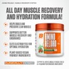 BALLISTIC SUPPS - AMINO RELOAD - All Day Recovery BCAA