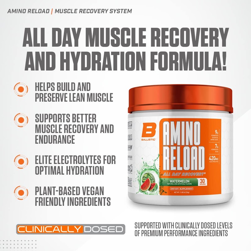 BALLISTIC SUPPS - AMINO RELOAD - All Day Recovery BCAA