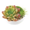 Kishima CT Catalyst Deodorizing Artificial Green Succulent
