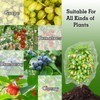 4 Pack Bird Netting for Garden Plants Fruits Blueberry Protection