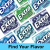 Bitetwist Assorted Sugar Free Mint Gum, Variety pack Of Extra