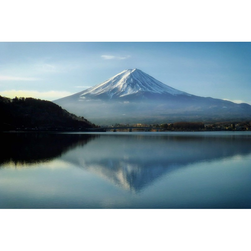 Saito Twisted Yarn Mowing Cord Spiral MAX 166.4 ft (50