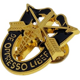 Special Forces Crest DI SFG Pin Army SFG Gold Medical 18D Insignia SOG SFCMD
