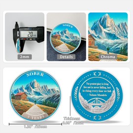 9 Year Sobriety Coin Gifts | Mountain Cabin AA Chip Medallion with Inspirational Quote | Narcotics Alcoholics Anonymous Anniversary Sobriety Gifts for Men Women in Recovery