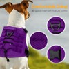 Heavy-Duty Tactical Dog Harness for Large Dogs, No Pull Adjustable