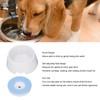 Pet Slow Water Feeder Splash Proof Prevent Slip Raised Water