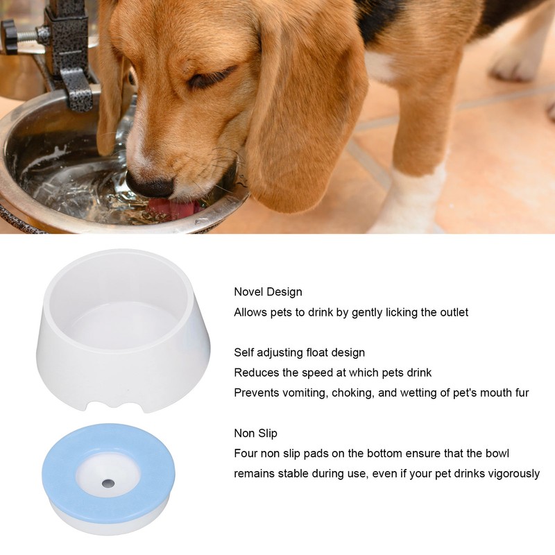 Pet Slow Water Feeder Splash Proof Prevent Slip Raised Water