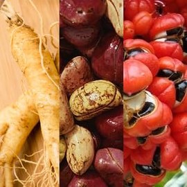 ESI Ginsengplus - 30 Naturcaps
