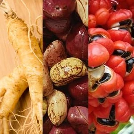 ESI Ginsengplus - 30 Naturcaps
