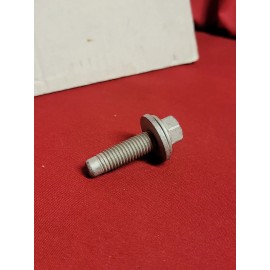 ACDelco GM Original Equipment NOS GM Belt Tensioner Bolt 11516298